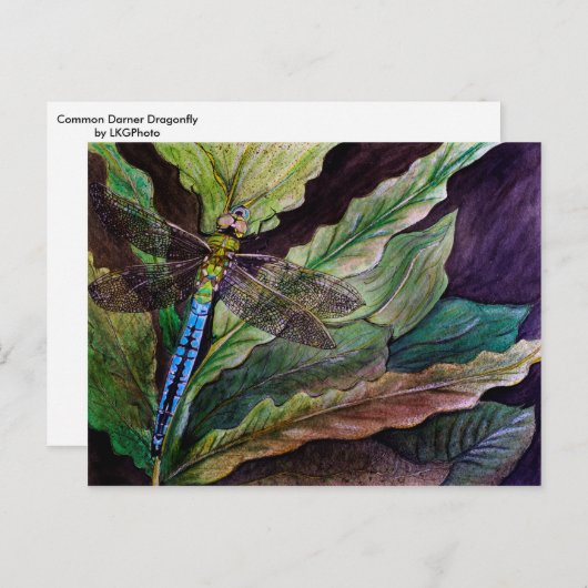 Common Darner Dragonfly Briefkaart (Voorkant / Achterkant)