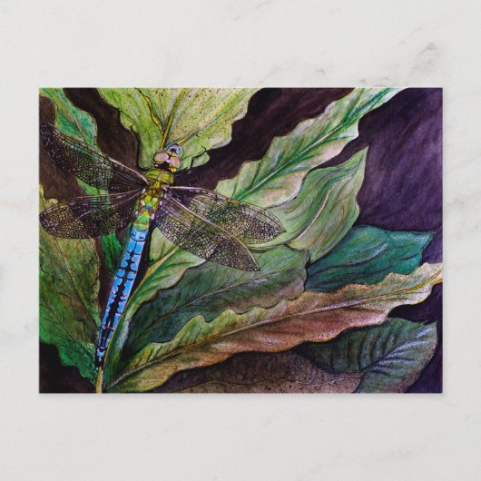 Common Darner Dragonfly Briefkaart (Voorkant)