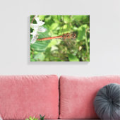 Common Darter Dragonfly Canvas afdrukken (Insitu (Woonkamer))