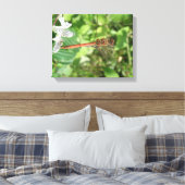 Common Darter Dragonfly Canvas afdrukken (Insitu (Slaapkamer))