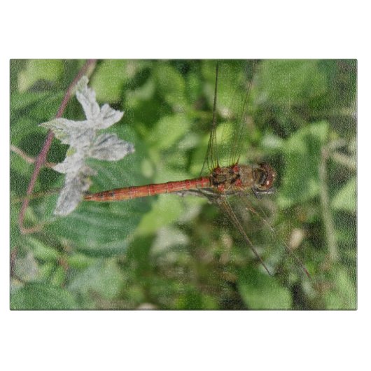 Common Darter Dragonfly Cutting Board Snijplank (Voorkant)