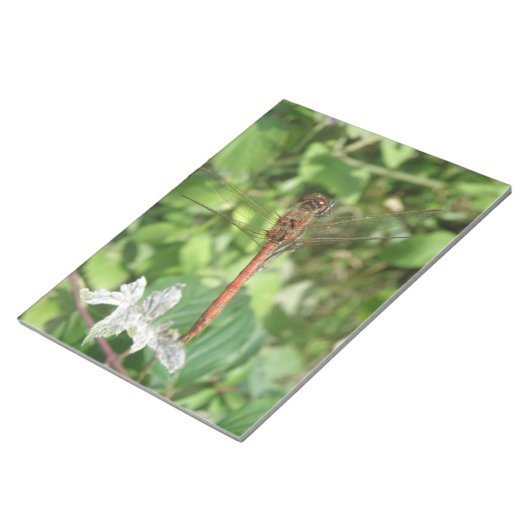 Common Darter Dragonfly-laptop Notitieblok (Schuin)