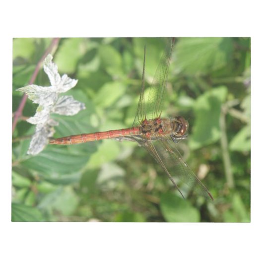 Common Darter Dragonfly-laptop Notitieblok (Voorkant)