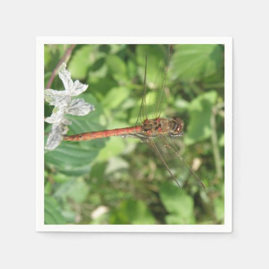Common Darter Dragonfly Napkins Servet (Voorkant)