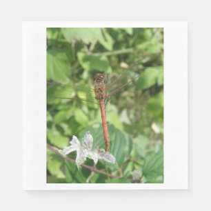 Common Darter Dragonfly Napkins Servetten