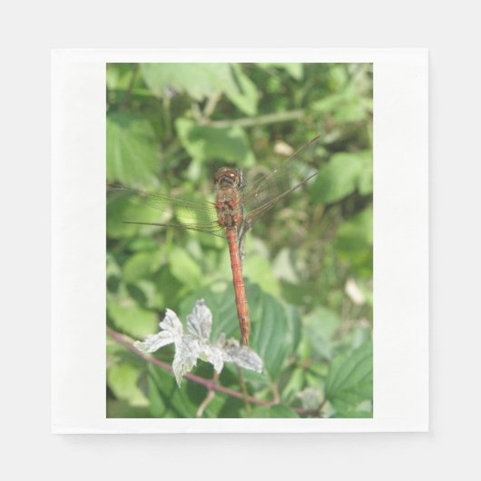 Common Darter Dragonfly Napkins Servetten (Voorkant)