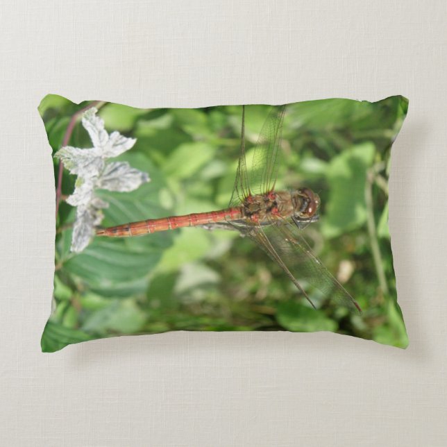 Common Darter Dragonfly Pillow Decoratief Kussen (Voorkant)