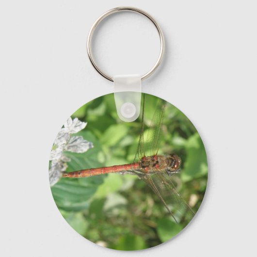 Common Darter Dragonfly Sleutelhanger (Voorkant)