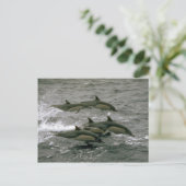 Common dolphin briefkaart (Staand voorkant)