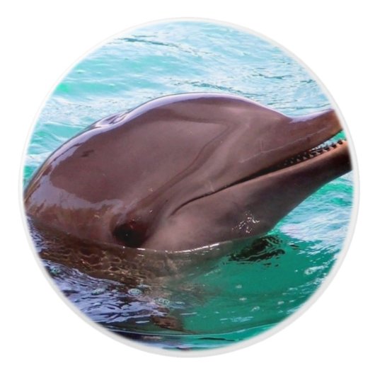 Common Dolphin Keramische Knop (Voorkant)