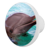 Common Dolphin Keramische Knop (Rechts)