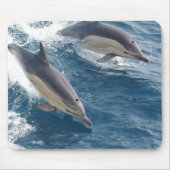 Common Dolphin Muismat (Voorkant)