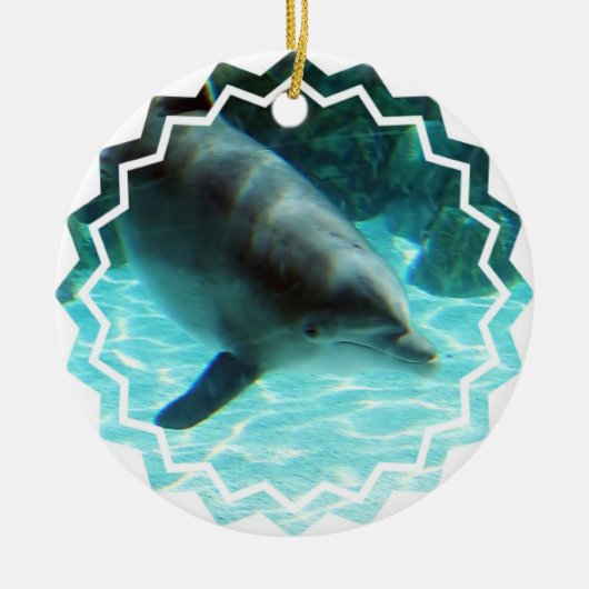 Common Dolphin Ornament (Voorkant)