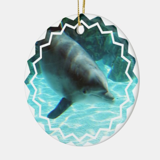 Common Dolphin Ornament (Links)