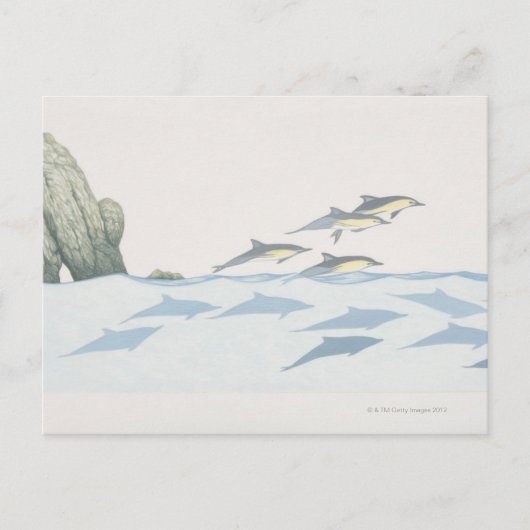 Common Dolphins Briefkaart (Voorkant)