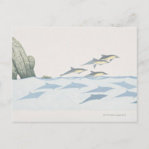 Common Dolphins Briefkaart