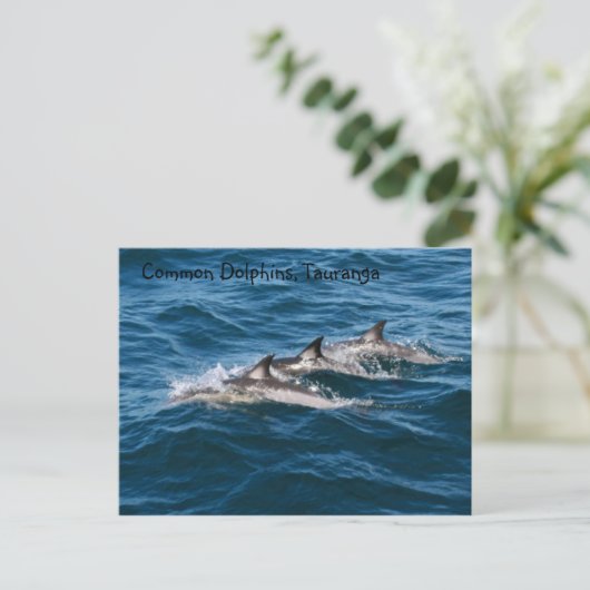 Common Dolphins Briefkaart (Staand voorkant)