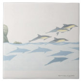 Common Dolphins Tegeltje (Voorkant)
