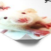 Common Dream Poster (Hoek)