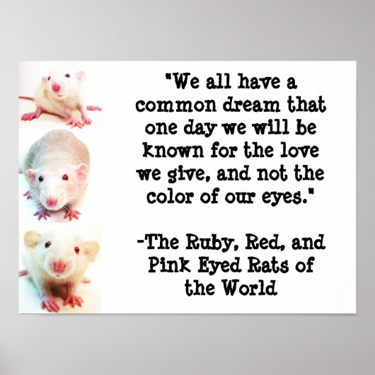 Common Dream Poster (Voorkant)