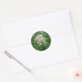 Common Elderberry Coordinating Items Ronde Sticker (Envelop)