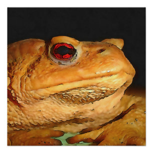 Common European Toad Bufo Black Outline Art Perfect Poster