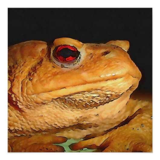 Common European Toad Bufo Black Outline Art Perfect Poster (Voorkant)