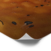 Common European Toad Bufo Black Outline Art Poster (Hoek)