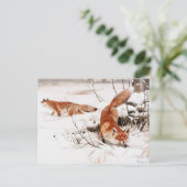 Common Foxes in the Snow, populaire kunst, Briefkaart (Staand voorkant)