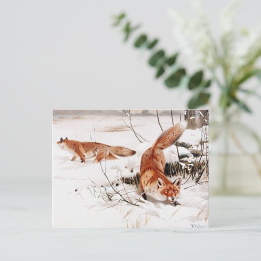 Common Foxes in the Snow, populaire kunst, Briefkaart (Staand voorkant)