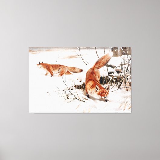 Common Foxes in the Snow, populaire kunst, Canvas Afdruk (Voorkant)