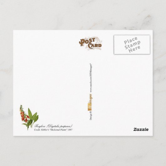 Common Foxglove -  illustratie Briefkaart (Achterkant)