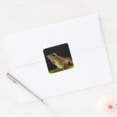 Common Frog op een blad donkere achtergrond Vierkante Sticker (Envelop)
