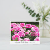Common Garden Peony Briefkaart (Staand voorkant)