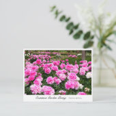 Common Garden Peony Briefkaart (Staand voorkant)