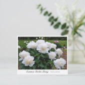 Common Garden Peony Briefkaart (Staand voorkant)