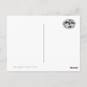 Common Garden Peony Briefkaart (Achterkant)