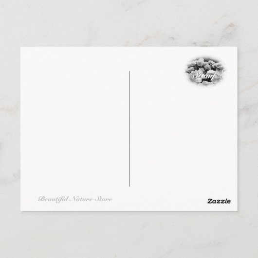 Common Garden Peony Briefkaart (Achterkant)