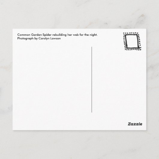 Common Garden Spider Briefkaart (Achterkant)