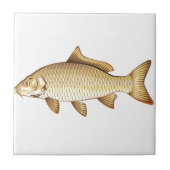 Common Golden Carp Vector Art Tegeltje (Voorkant)