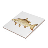 Common Golden Carp Vector Art Tegeltje (Zijkant)