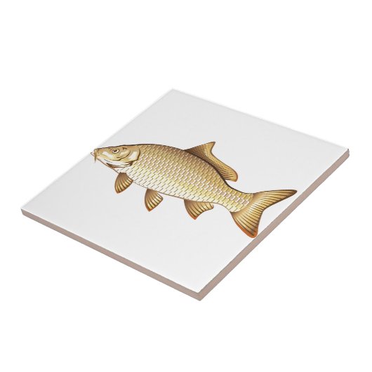 Common Golden Carp Vector Art Tegeltje (Zijkant)