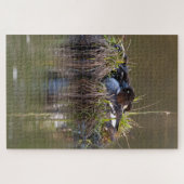 Common Goldeneye ducks Legpuzzel (Horizontaal)