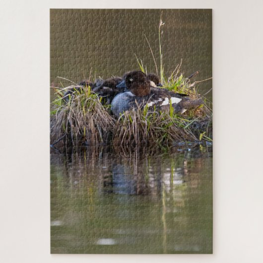 Common Goldeneye ducks Legpuzzel (Verticaal)