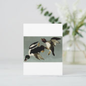 Common goldeneye zee duck briefkaart (Staand voorkant)