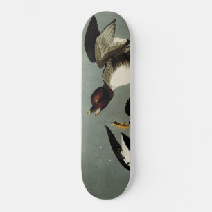 Common goldeneye zee duck persoonlijk skateboard