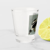 Common goldeneye zee duck shot glas (Links)