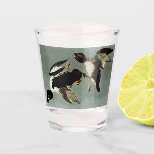 Common goldeneye zee duck shot glas (Voorkant)