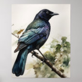 Common Grackle Bird Art Print Poster (Voorkant)