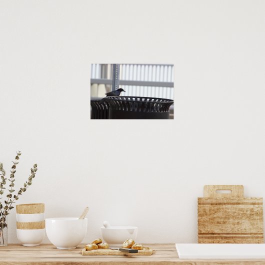 Common Grackle Bird Poster (Keuken)